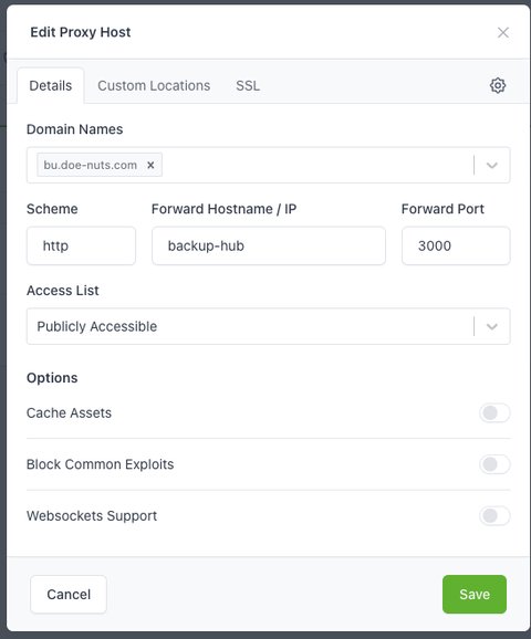 Nginx proxy host Setting